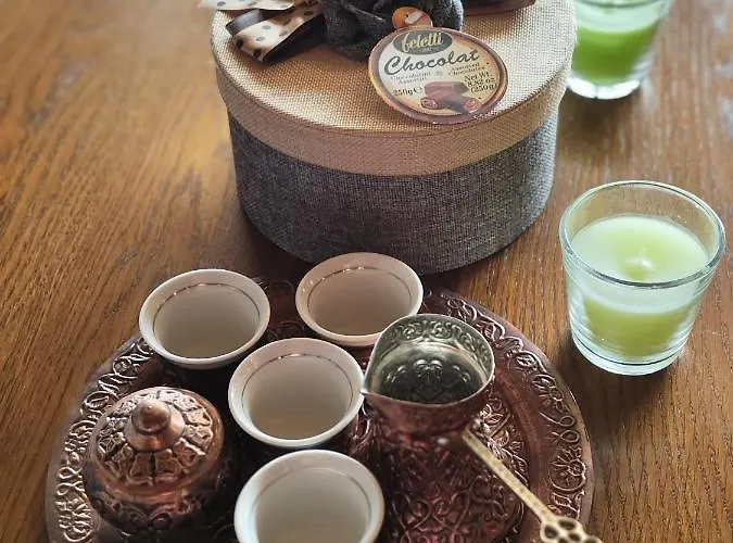 아파트 Apartma Alter Ego 코페르